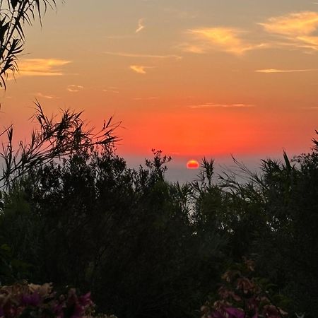 Villa Moma Giardino, Tennis E Piscina Panoramica 伊斯基亚 外观 照片