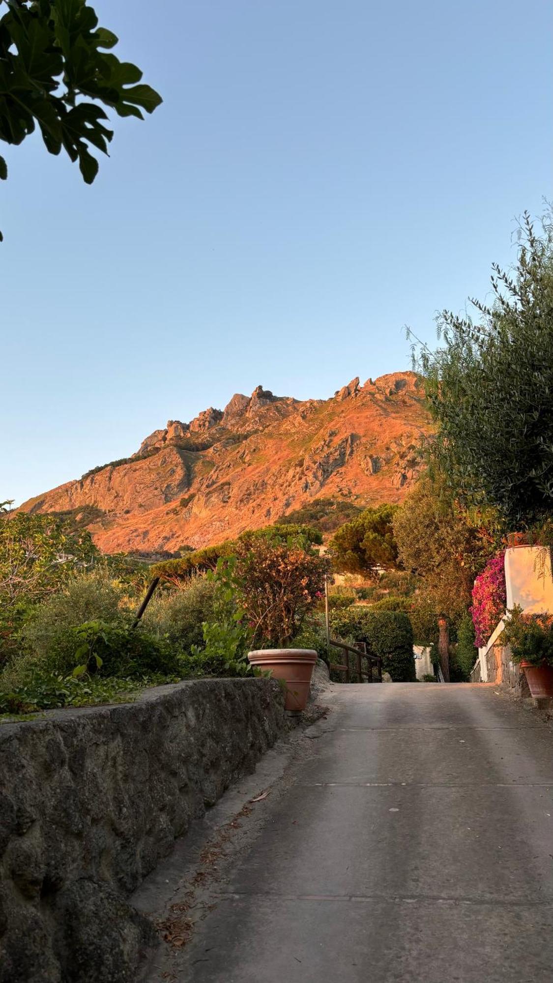 Villa Moma Giardino, Tennis E Piscina Panoramica 伊斯基亚 外观 照片