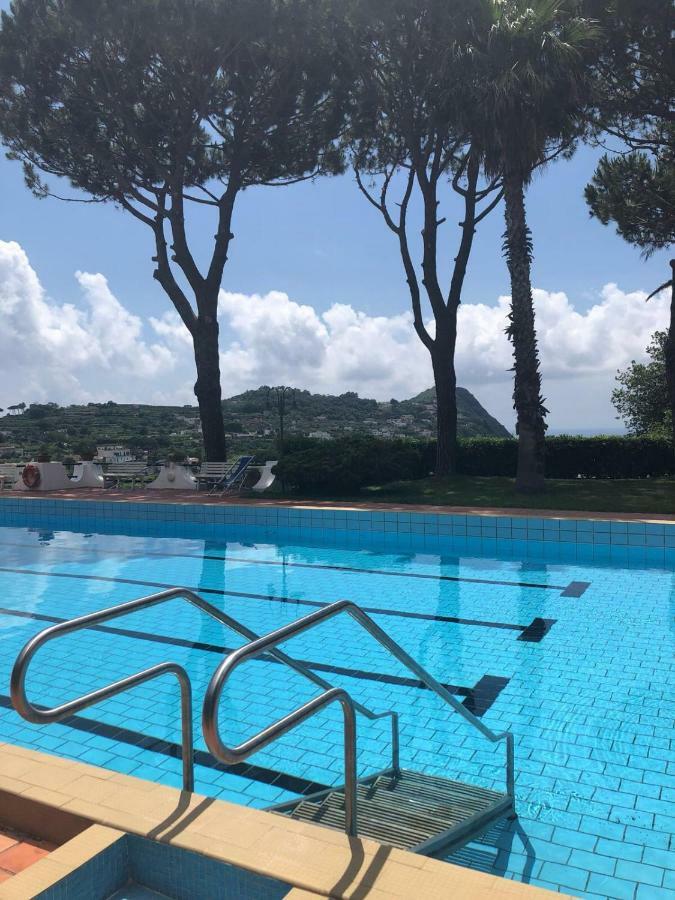 Villa Moma Giardino, Tennis E Piscina Panoramica 伊斯基亚 外观 照片