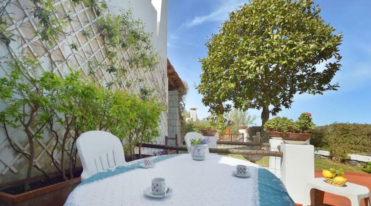 Villa Moma Giardino, Tennis E Piscina Panoramica 伊斯基亚 外观 照片