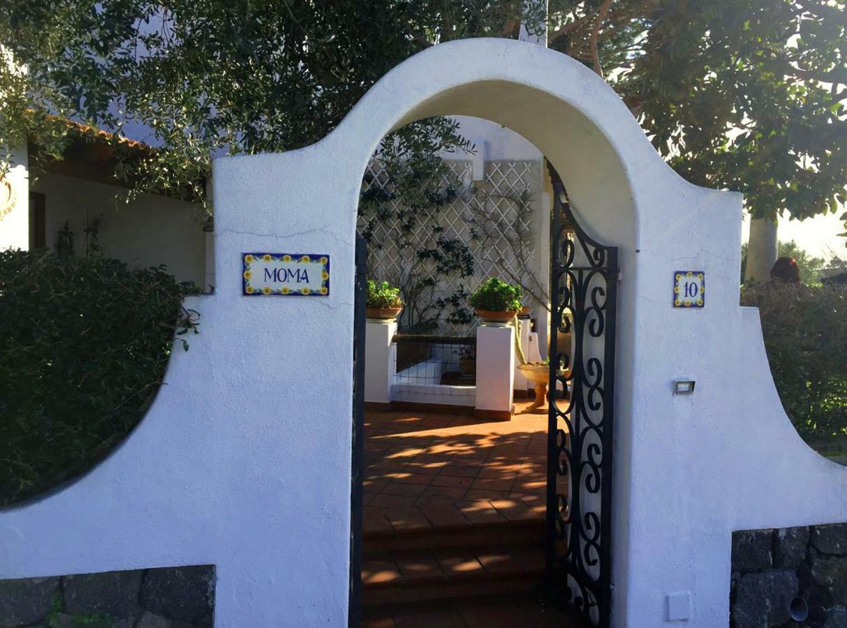 Villa Moma Giardino, Tennis E Piscina Panoramica 伊斯基亚 外观 照片