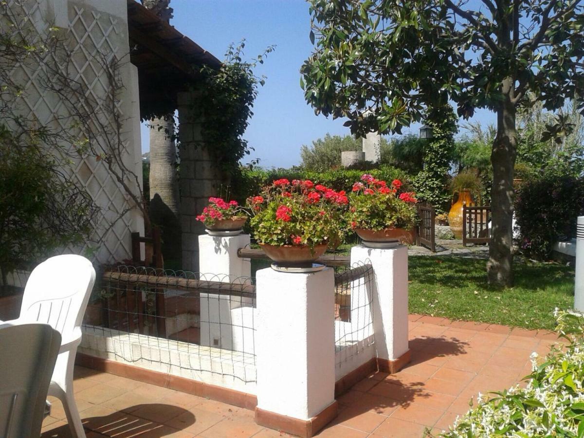 Villa Moma Giardino, Tennis E Piscina Panoramica 伊斯基亚 外观 照片